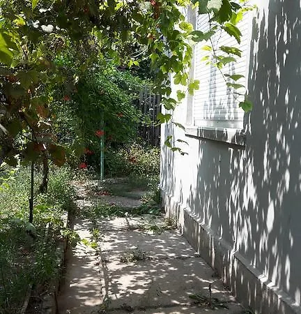 Apartament Central